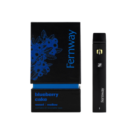 Buy Fernway Blueberry Cake Traveler Vape – Sweet & Satisfying